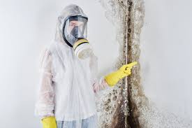 Trusted Tamalpais Homestead Valley, CA Mold Removal Experts